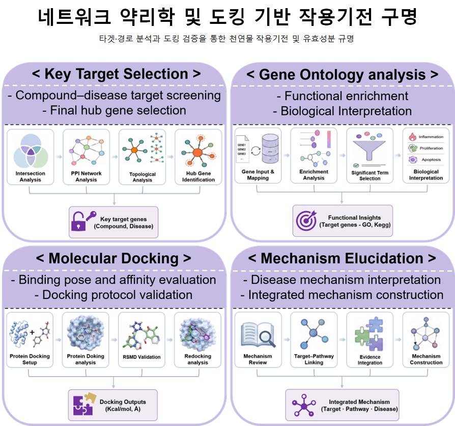 타깃 선정, GO 분석, 분자 도킹, 작용기전 구명 workflow 도표