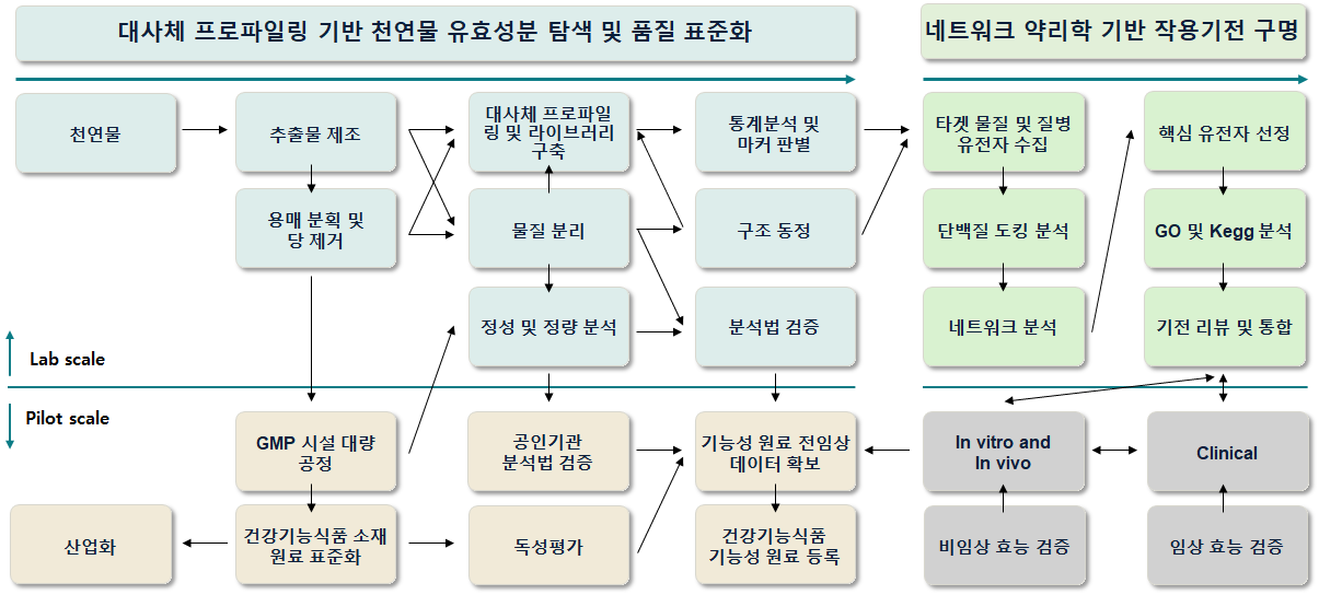 대사체 프로파일링 기반 천연물 유효성분 탐색과 네트워크 약리학 기반 작용기전 구명 흐름도